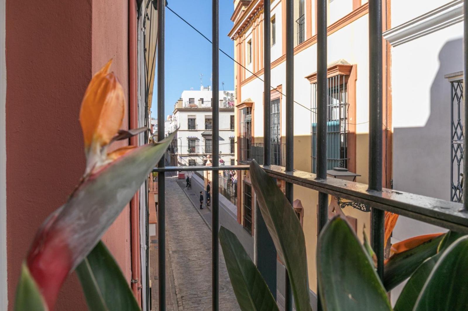 Gotoseville San Bernardo * Sevilla